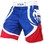 "Electron 2.0" Fightshorts - Blue/Red