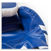 "Challenger" Boxing Gloves 2.0 - Blue