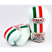 Italia Boxing Gloves - White