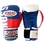 Russia Boxing Gloves - White