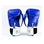 Muay Thai Boxing Gloves - Blue