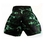 Army Muay Thai shorts - Green