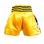 Lumpinee Stars Muay Thai shorts