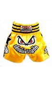Lumpinee Stars Muay Thai shorts