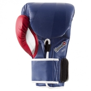 Ikusa 16oz Gloves - Blue/Red