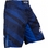 Radiance Fightshorts - Blue